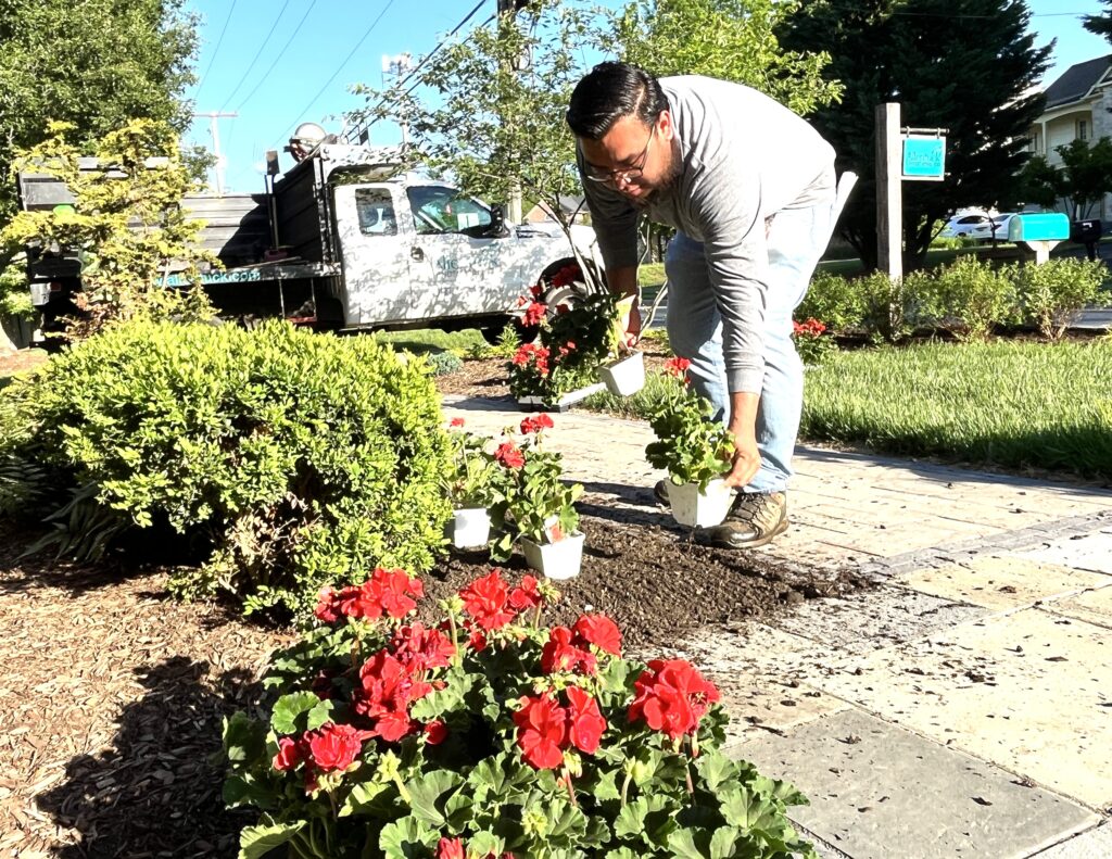 Summer Landscaping Tips