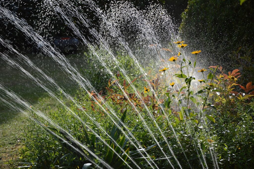 Can Too Much Water Kill Landscape Plants