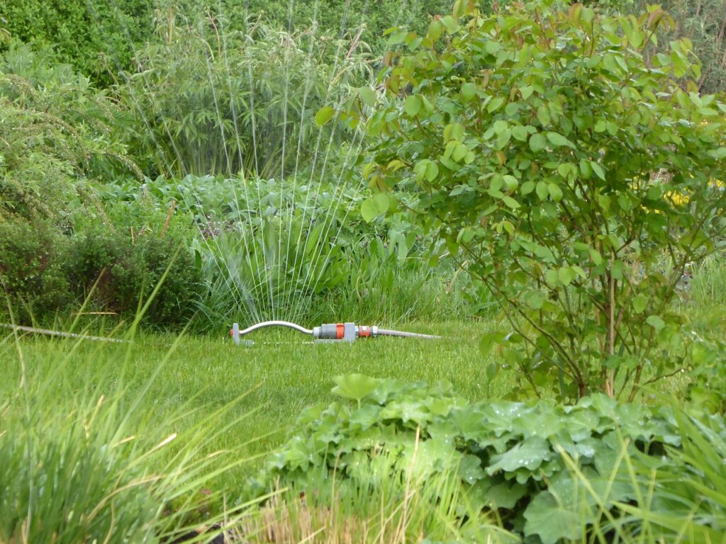 Can Too Much Water Kill Landscape Plants