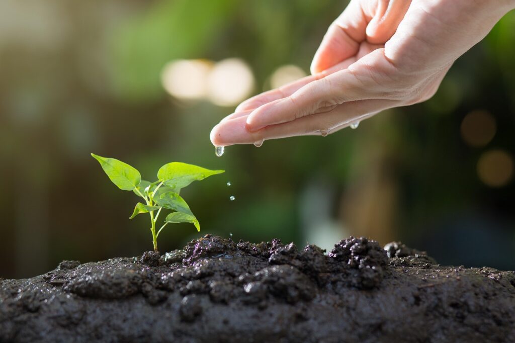 hydration and heat tips for gardeners