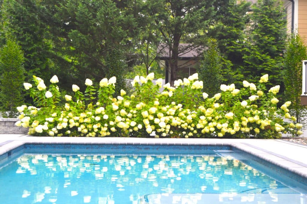 Landscape Company - Bethesda MD