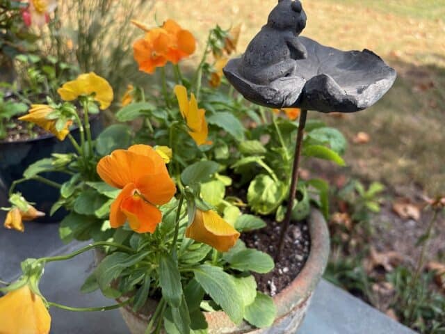 Astuces de jardin de septembre
