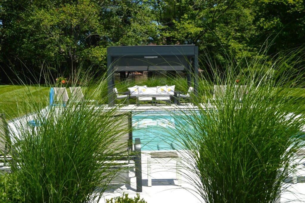 ornamental grass blog