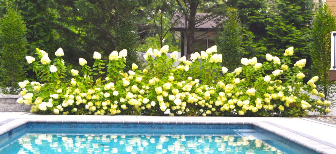 Landscape Architect - Bethesda MD