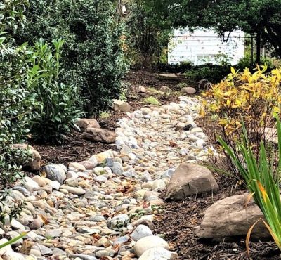 Landscape Drainage in Bethesda