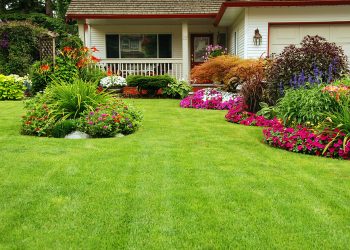 A carefuly kept front yard showing summer colours