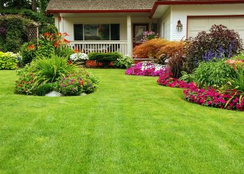 A carefuly kept front yard showing summer colours